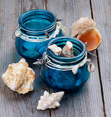 Image showing Sea Shells in Glass Jars