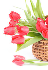 Image showing Spring Tulips