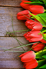 Image showing Red Tulips