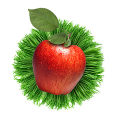 Image showing red apple with in grass isolated on white