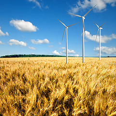 Image showing Wind generators turbines on wheat field