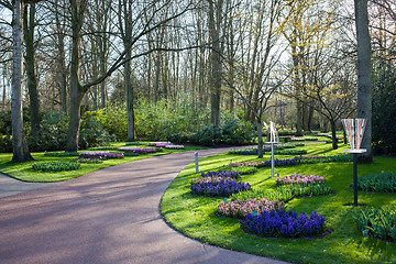 Image showing Famous flowers park Keukenhof in Netherlands also known as the G