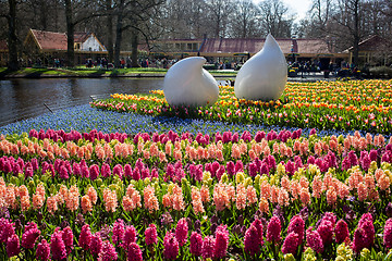 Image showing Lisse, Netherlands - April 20, 2013: Flowers in Keukenhof park, 