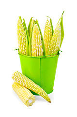 Image showing Corn on the cob in a green bucket