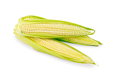 Image showing Corn cobs