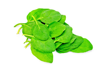 Image showing Spinach fresh