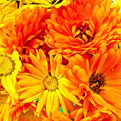 Image showing Calendula flowers bouquet