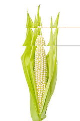 Image showing Corncob