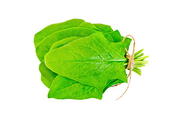 Image showing Spinach fresh sheaf