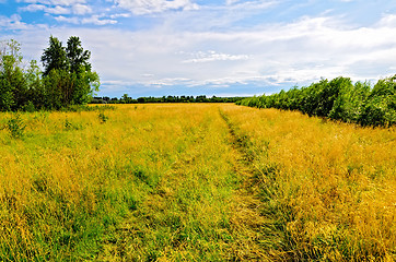 Image showing Summer landscape with road and blue sky