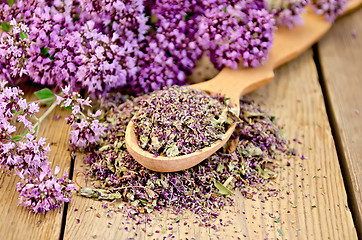 Image showing Herbal tea of fresh and dry oregano on spoon