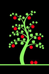 Image showing  apple tree 