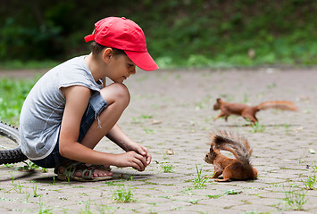 Image showing Little boy and squirrels