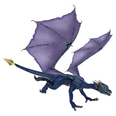 Image showing Little Blue Dragon