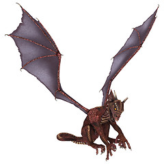 Image showing Little Dragon