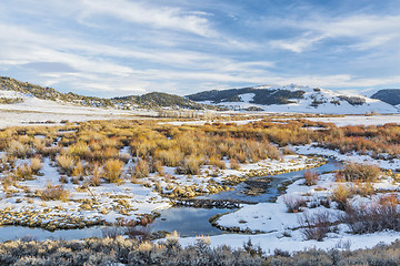 Image showing beaver swamp in Rocky Mountains