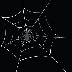 Image showing spider in web