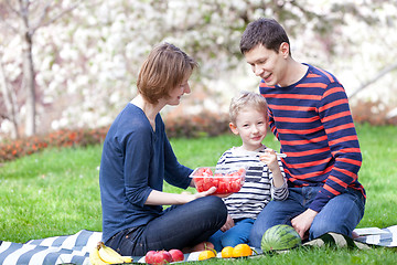 Image showing family picnic