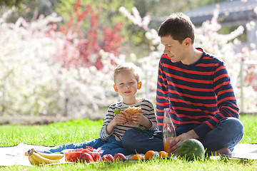 Image showing family picnic