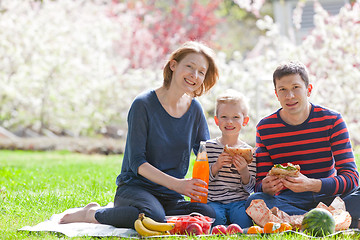 Image showing family picnic