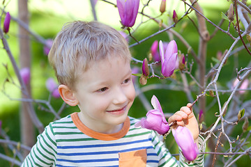 Image showing spring time