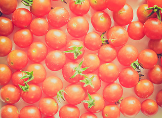 Image showing Retro look Tomato