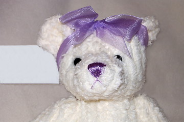 Image showing teddy with a purple bow