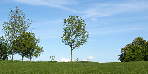 Image showing Primrose Hill, London