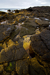 Image showing  lanzarote  isle foam rock spain  