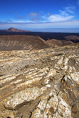 Image showing timanfaya  in los spain plant flower bush