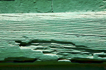 Image showing texture in spain lanzarote abstract green   