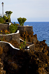 Image showing cactus street lamp chain hill coastline lanzarote 