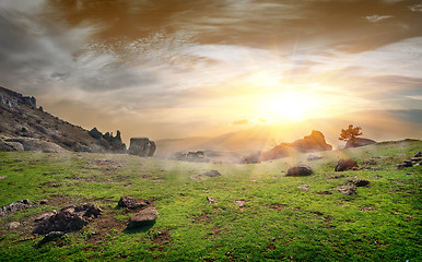 Image showing Rocks on a meadow