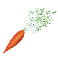 Image showing carrot