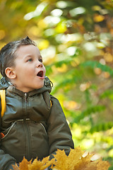 Image showing autumn baby boy