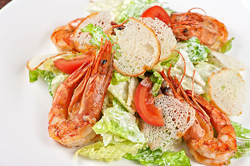 Image showing Tasty shrimp salad