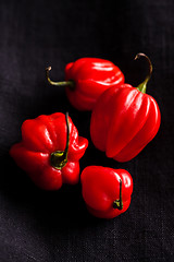 Image showing Red chili peppers