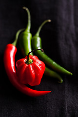 Image showing Red and green chili peppers