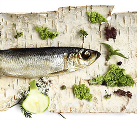 Image showing Smoked herring