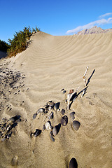 Image showing   yellow dune beach  hil and mountain in the   lanzarote spain 