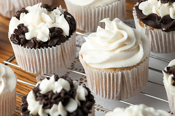 Image showing Delicious Gourmet Cupcakes