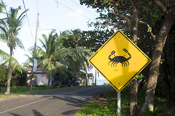 Image showing crab crossing caution street sign on only road Big Corn Island N