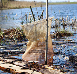 Image showing Fish Net