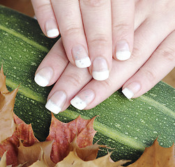 Image showing French manicured nails