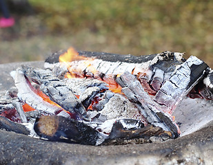 Image showing Campfire flame 