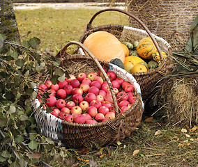 Image showing Autumn garden goodies