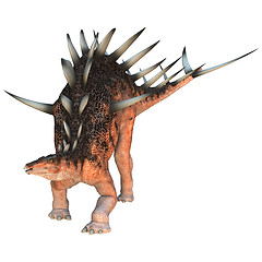 Image showing Dinosaur Kentrosaurus