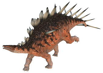 Image showing Dinosaur Kentrosaurus
