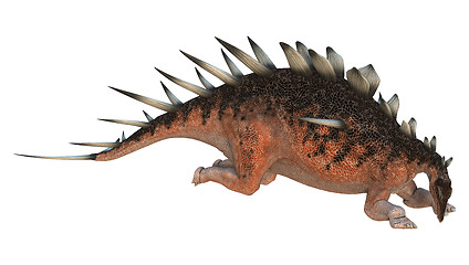 Image showing Dinosaur Kentrosaurus