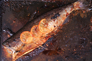 Image showing detail of baked salmon fish 